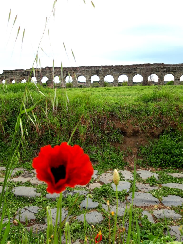Park of the Aqueducts Rome: Discover Ancient Aqueducts Beyond the Crowds 3 20210410 172159