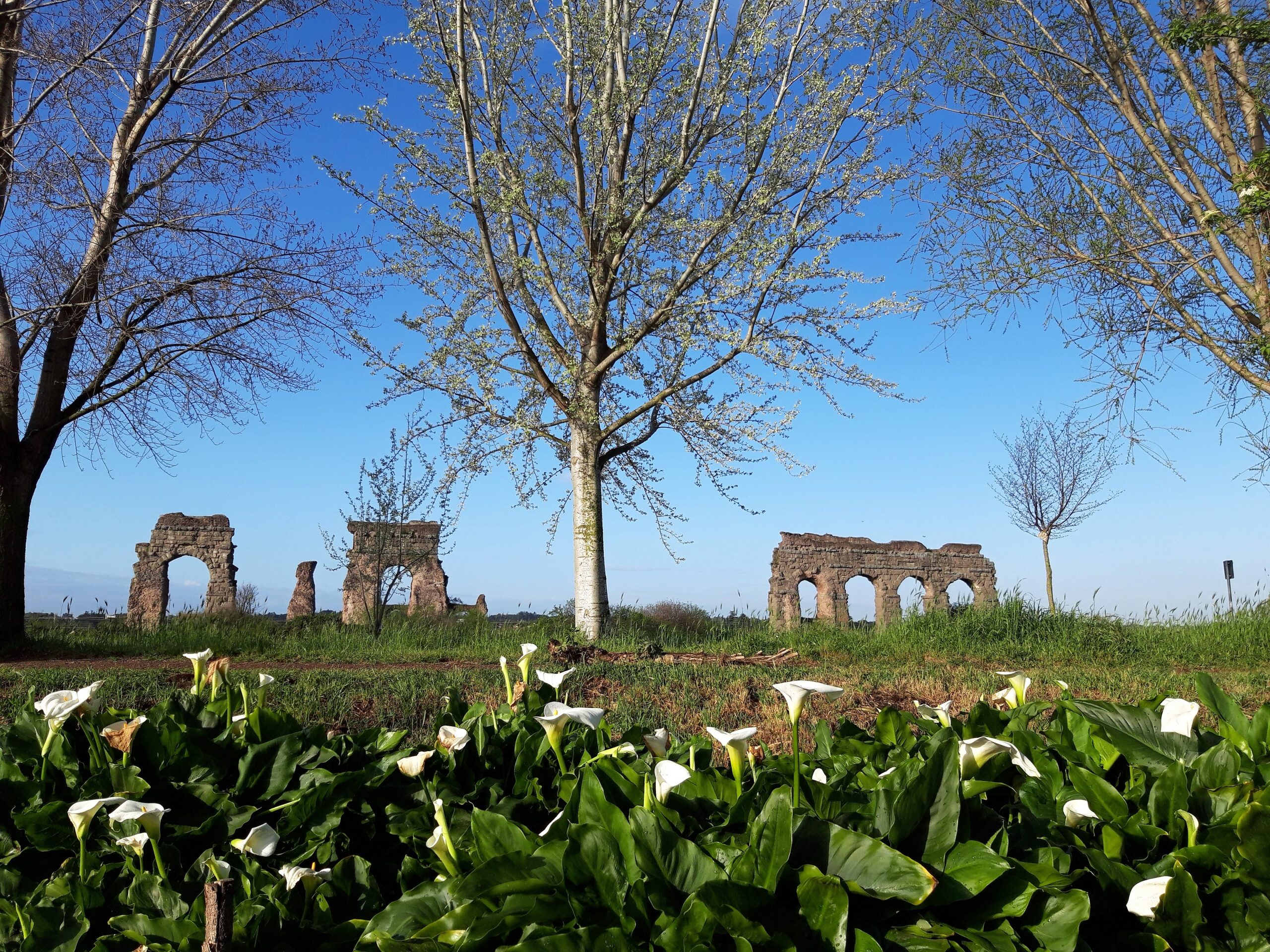 Park of the Aqueducts Rome