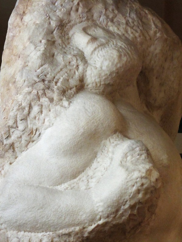 Michelangelo's Prisoners: The Florentine Artist's Unfinished Masterpieces. 3 PRIGIONE CHE SI RIDESTA